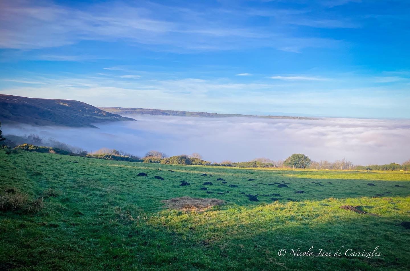 Mysterious Fog Enveloping the Landscape