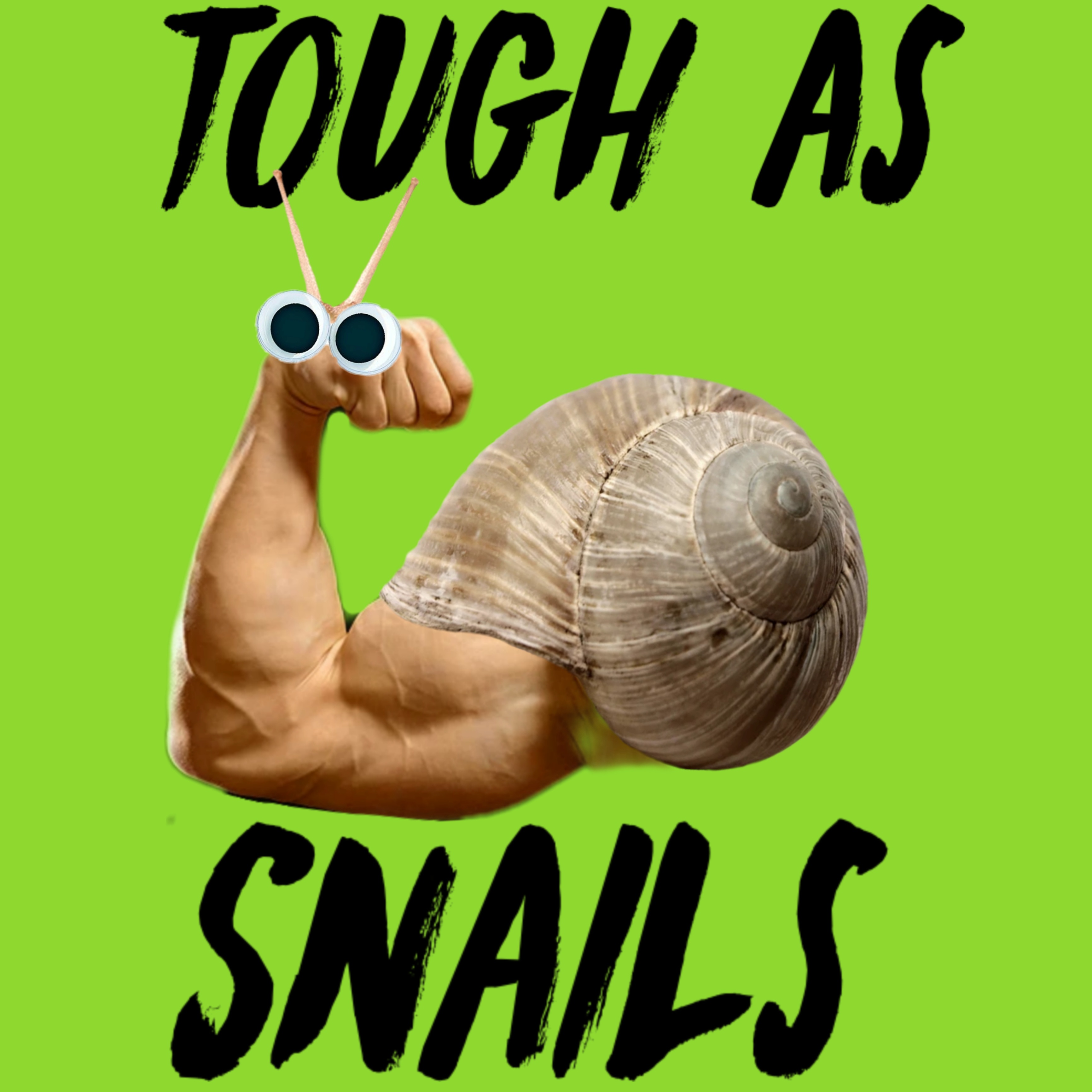 Did You Know Snails Can Lift Ten Times Their Weight? Mind Blown!