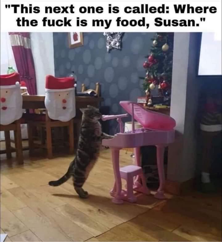 This one's dedicated to you, Susan!