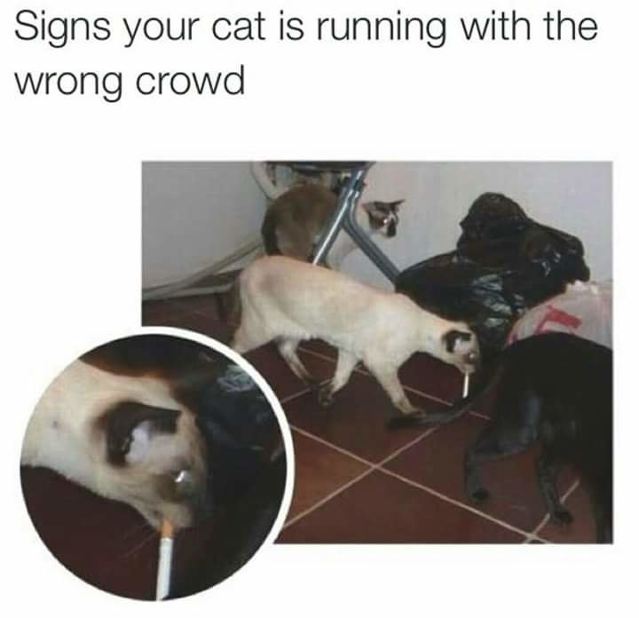 Max, Please Don't Do That!