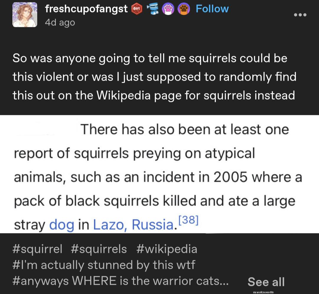 Did You Know? Fascinating Facts About Squirrels