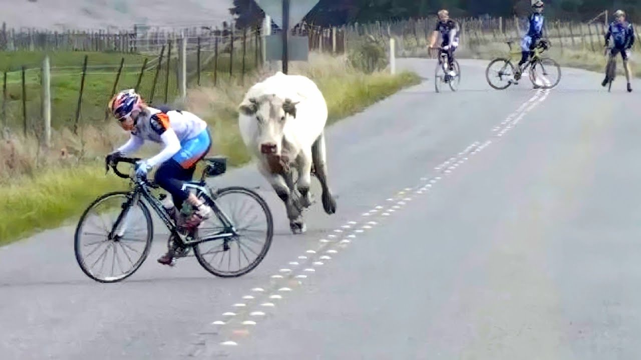 Hilarious Highlights of the Year: Part 5