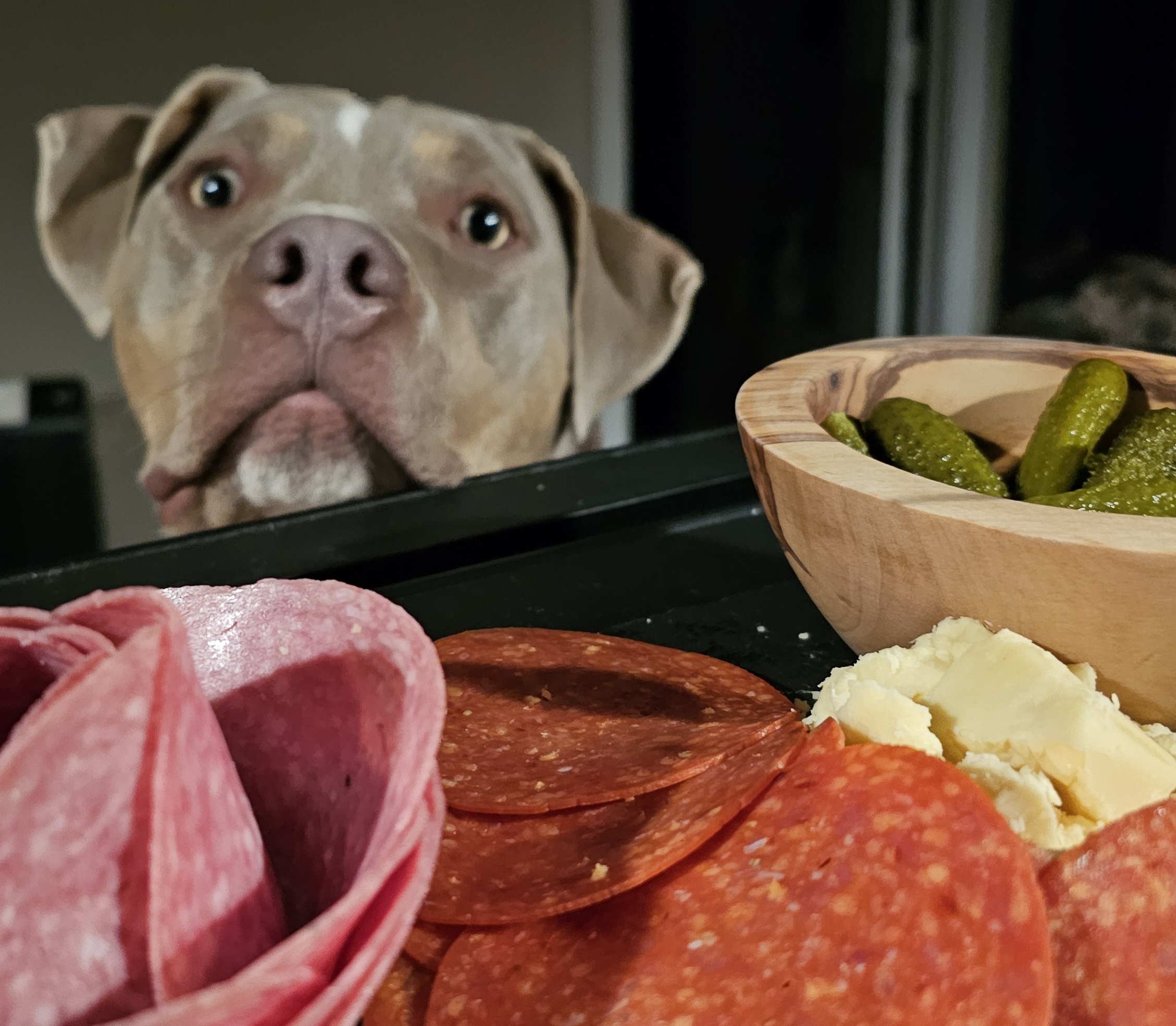 No worries, we've got plenty! My buddy Chance says 'Happy Holidays, y'all!'