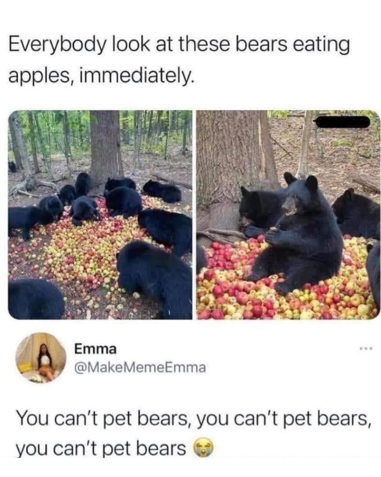 You can't... wait, what?