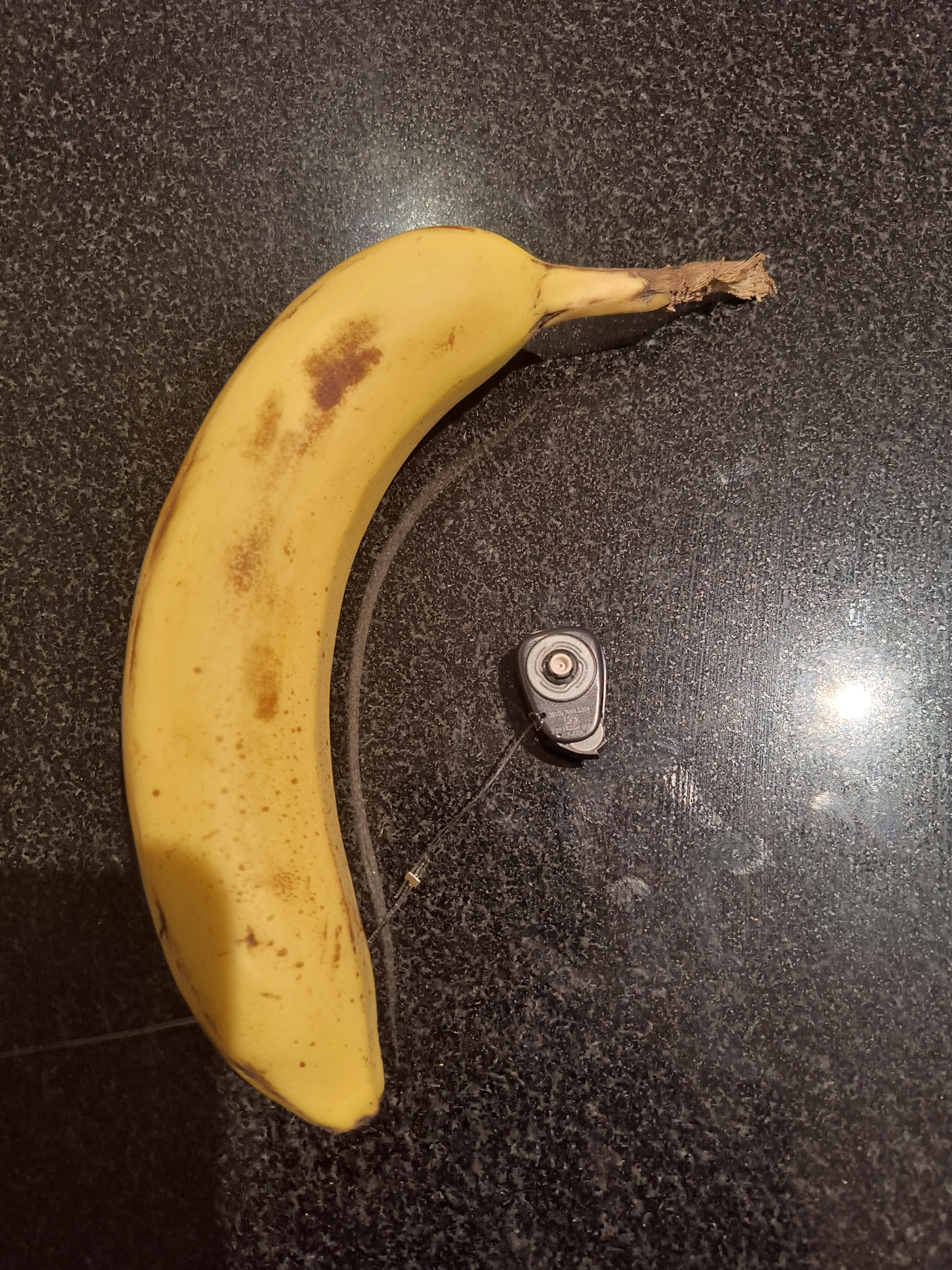 Check Out the Size of My New Hearing Aid: Banana for Scale!