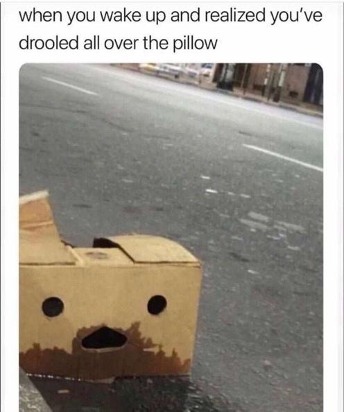 A Collection of Hilarious Memes Shared with Friends