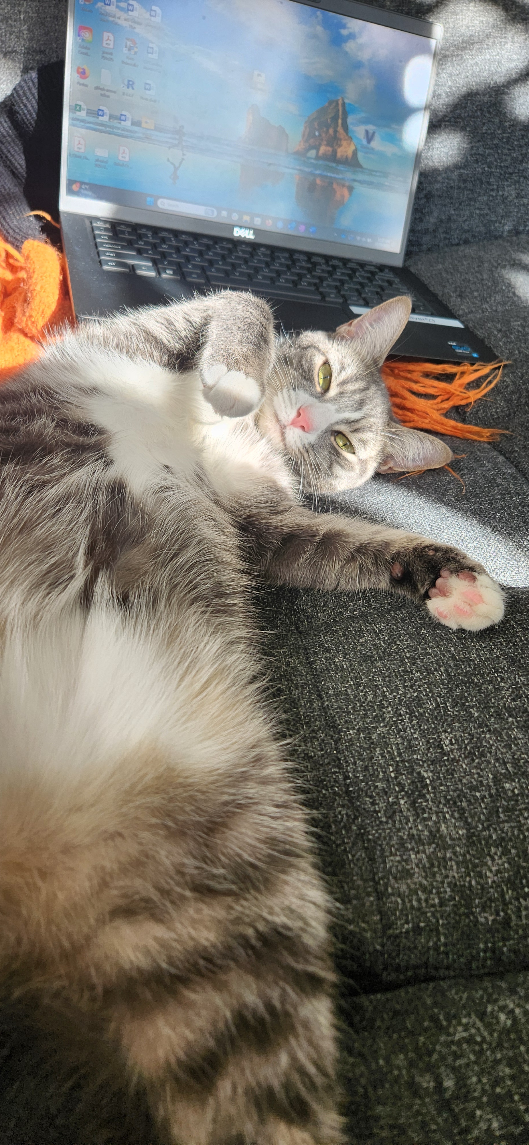 Recent Feline Inspirations: Cats and Art I've Encountered