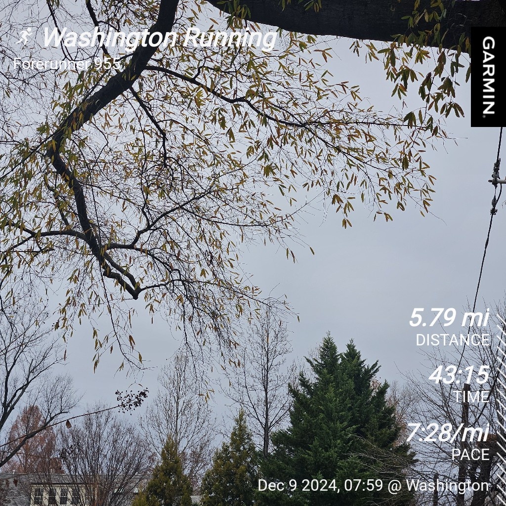 The Daily Grind: Embracing the Routine of My Daily Run