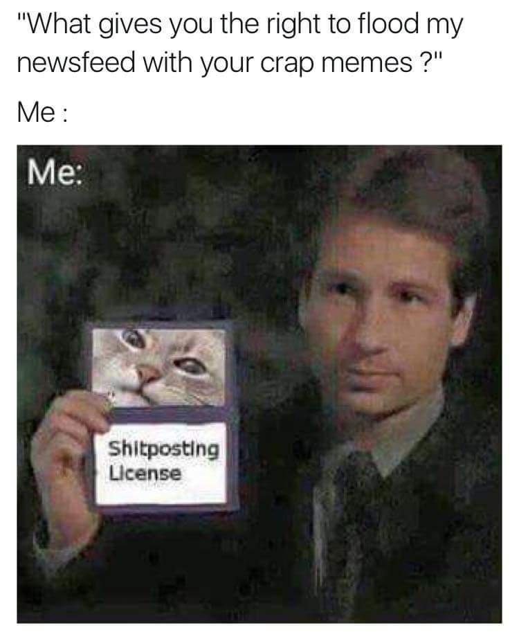 A Collection of Stale Memes: Volume 1