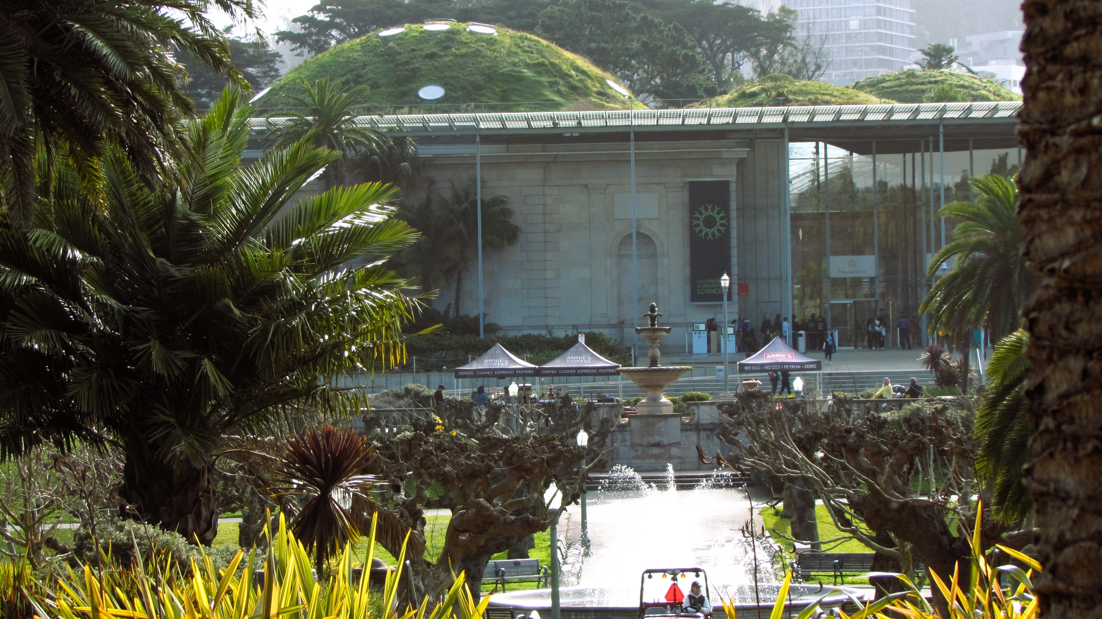 Exploring the Wonders of the California Academy of Sciences