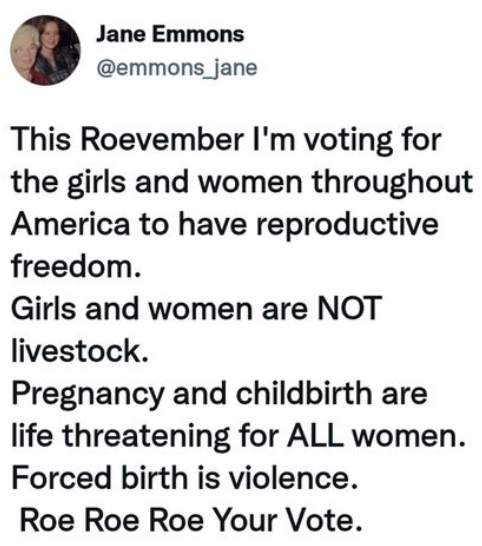 Rock the Vote with Roe Roe Roe!