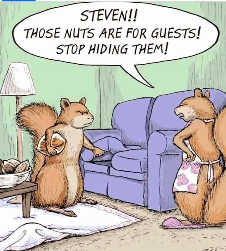 Nuts galore!