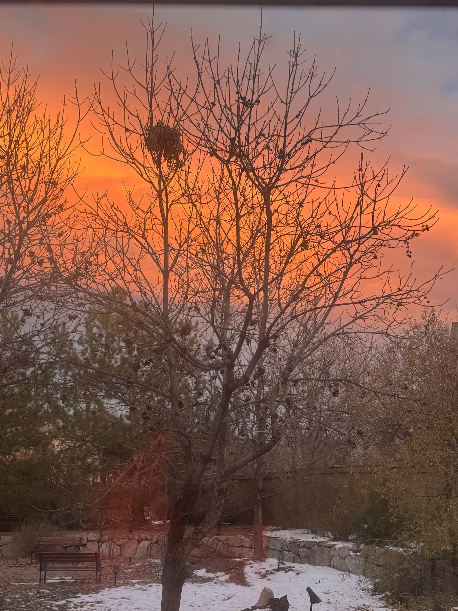 This one really captures the colors of the Denver Broncos!