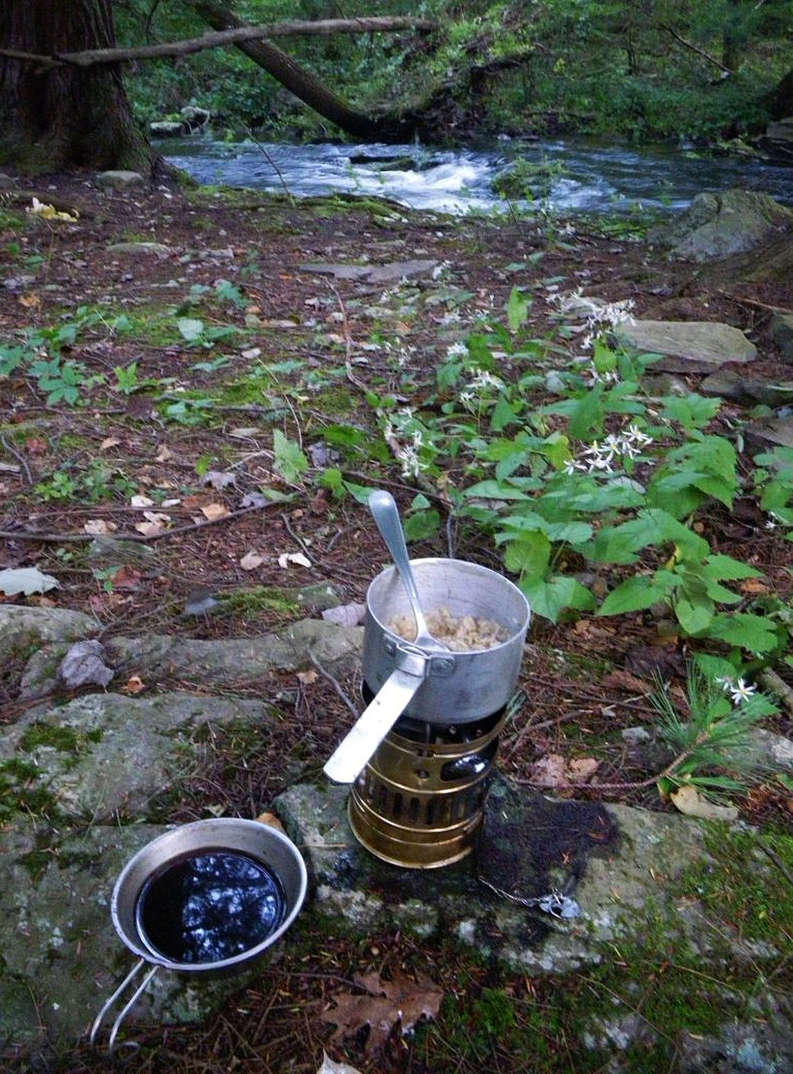 Savoring the Morning Brew: A Perfect Cup of Coffee