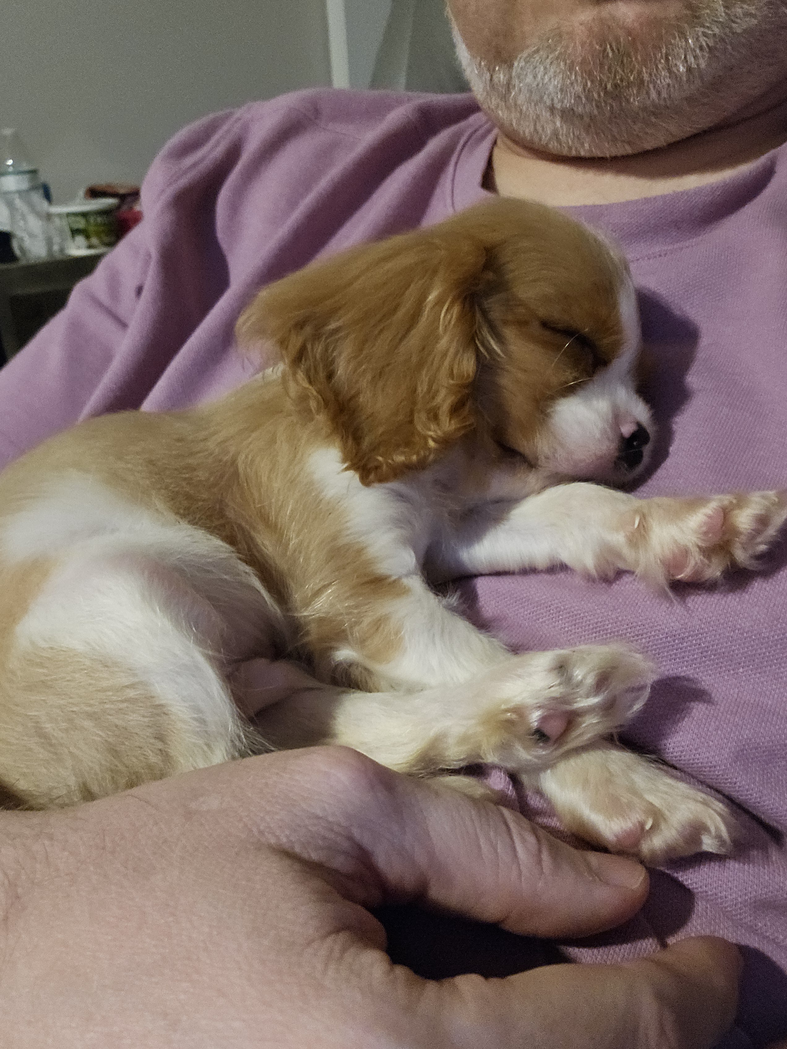 Check out these adorable pictures of the little guy!