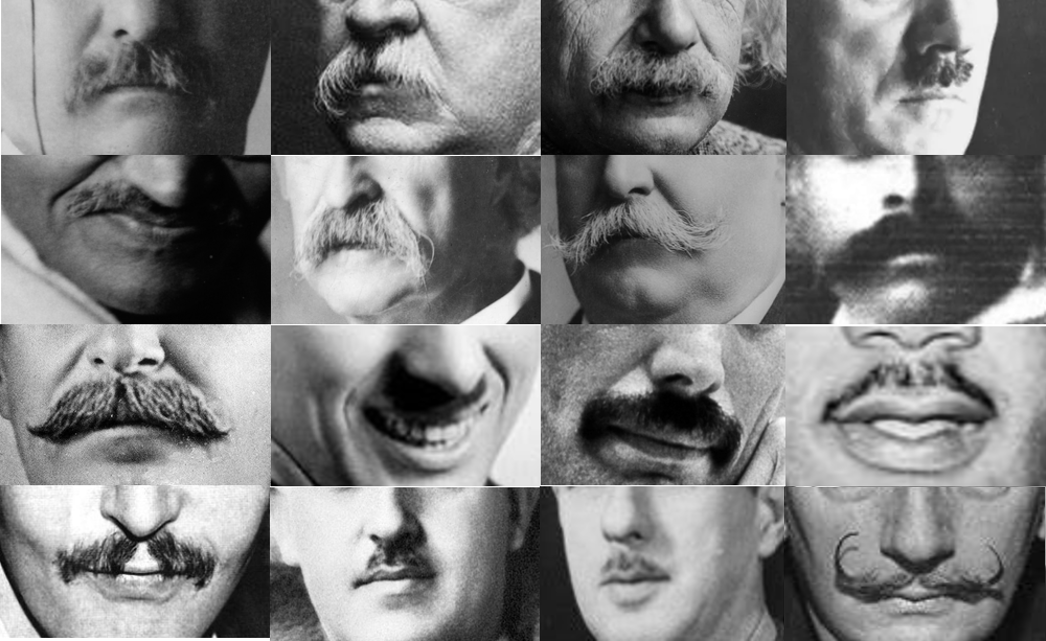 Celebrating the Charm of Moustaches