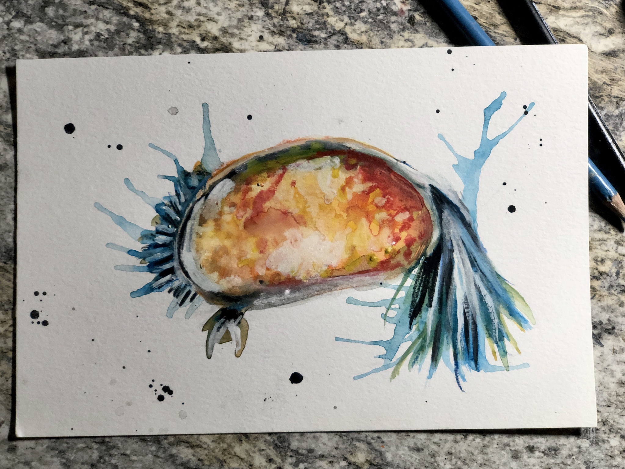 My Artistic Take on an Ostracod, Also Known as Seed Shrimp