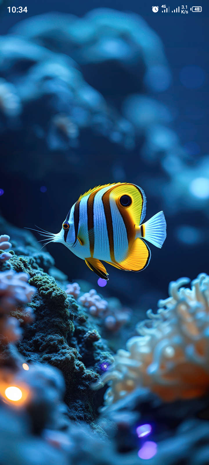 The Majestic Banded Butterflyfish