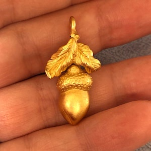 The Golden Acorn Crew: Boys, Girls, and Beyond!