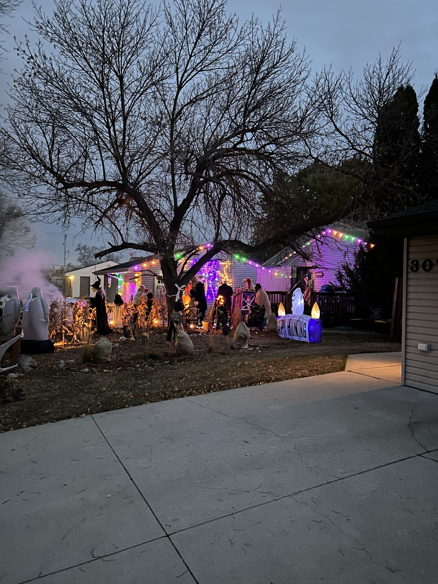 Spooktacular Halloween Vibes