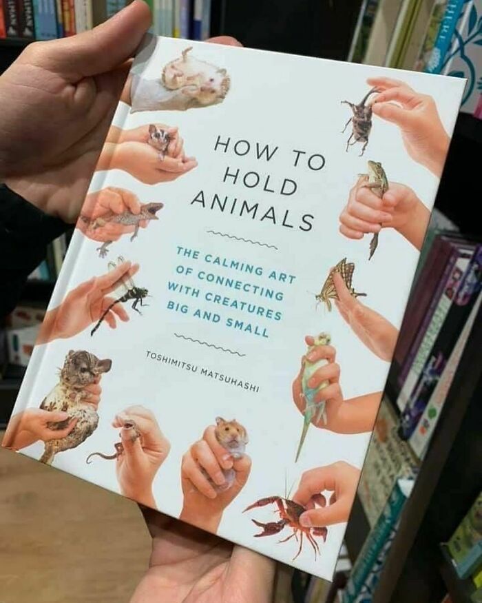 This definitely has a place here