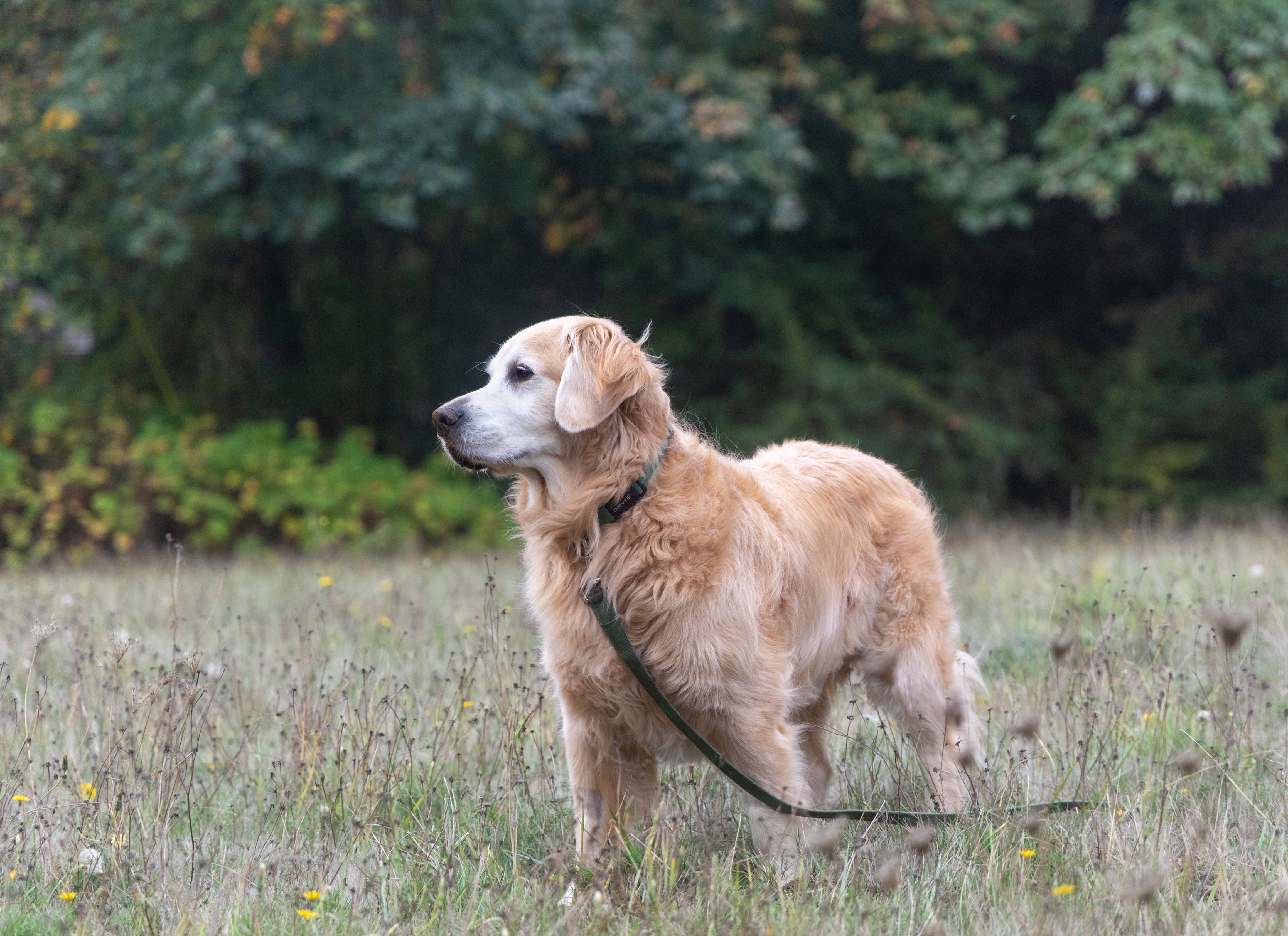 Cooper is literally outstanding in his field!