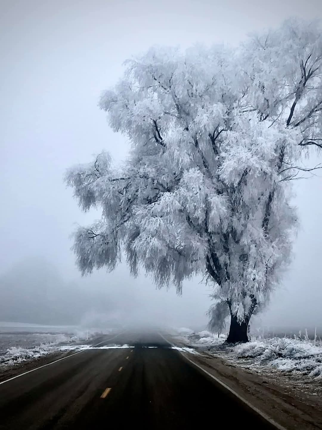Current Vibes of My Commute in Idaho