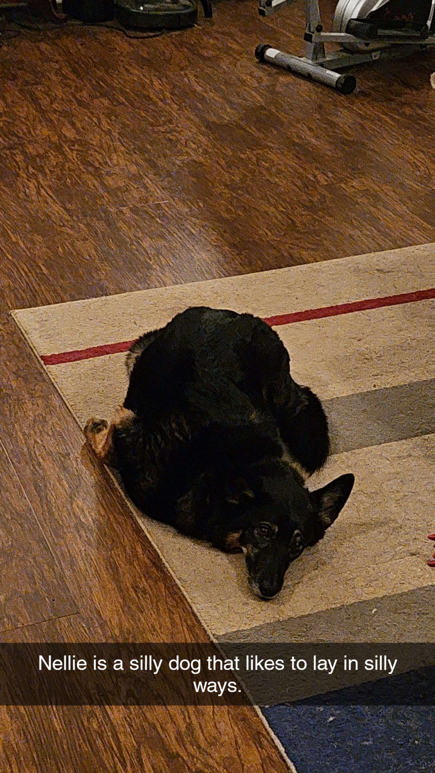 Heartbroken: I Lost My Precious Baby Girl Nellie