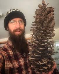 Wait, You're Part of Team Acorn?