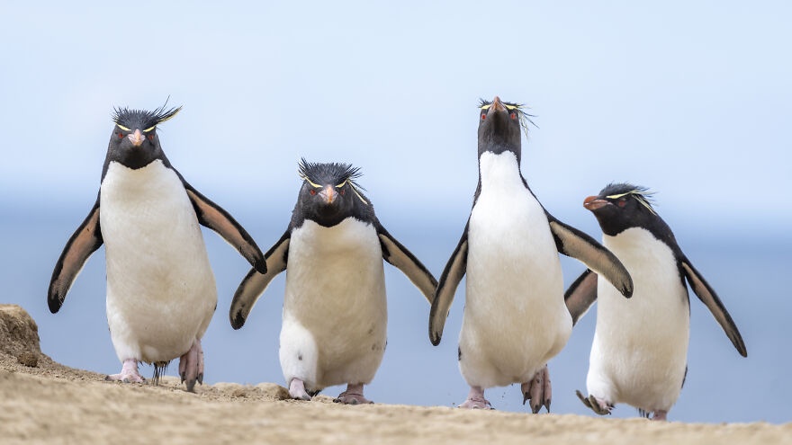 The crew is all here!