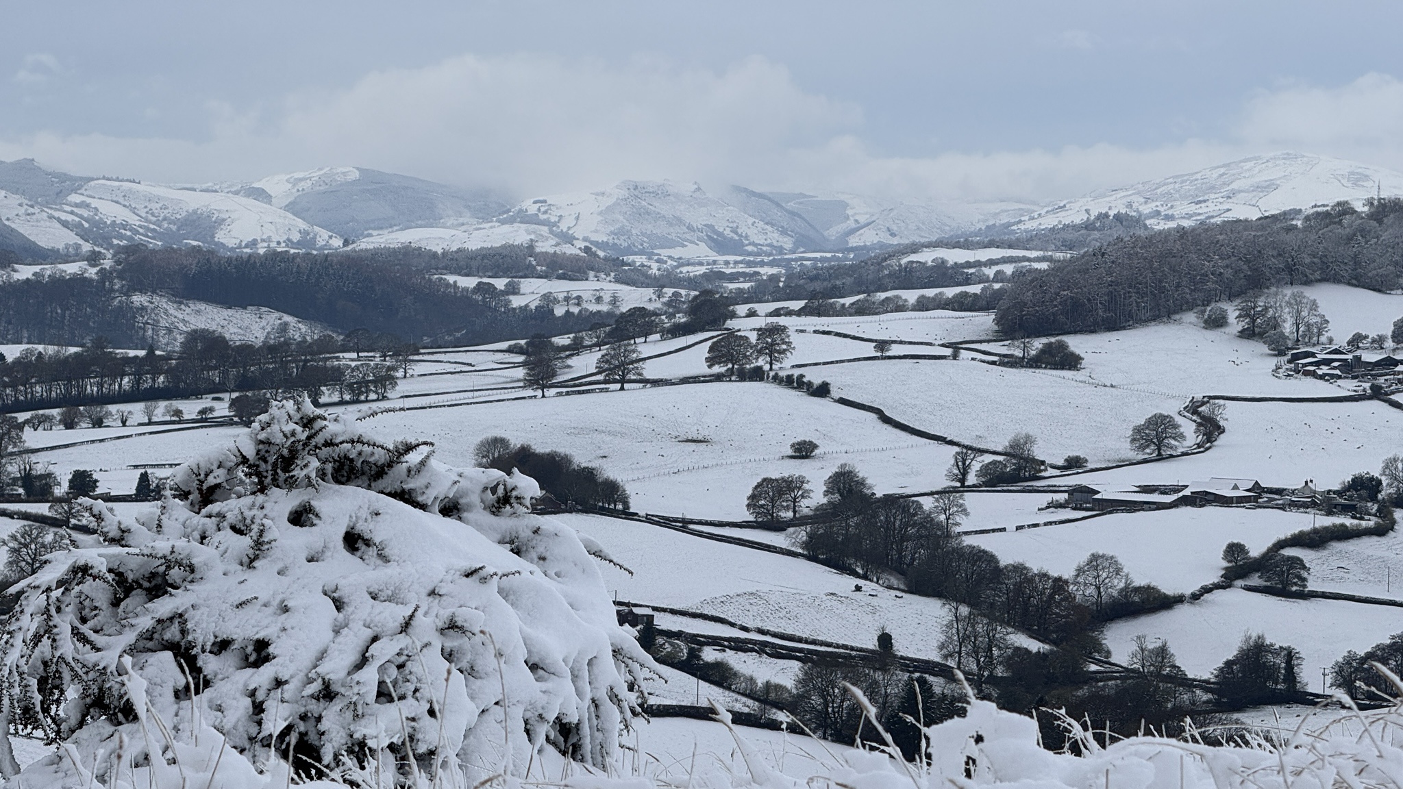 A winter wonderland of snow