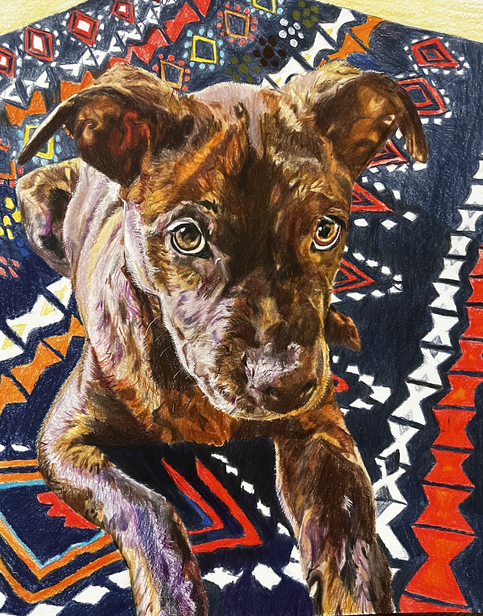 Stunning Portrait of Piper