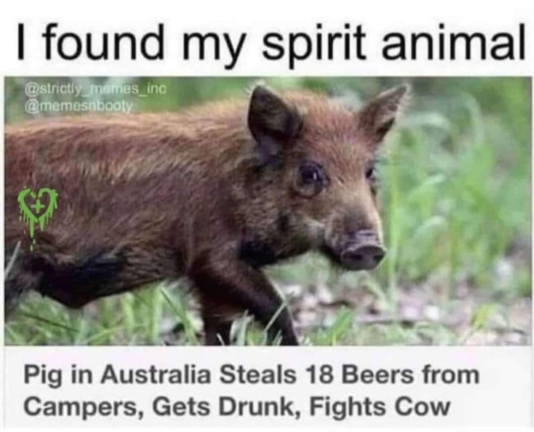 I Discovered My True Spirit Animal!