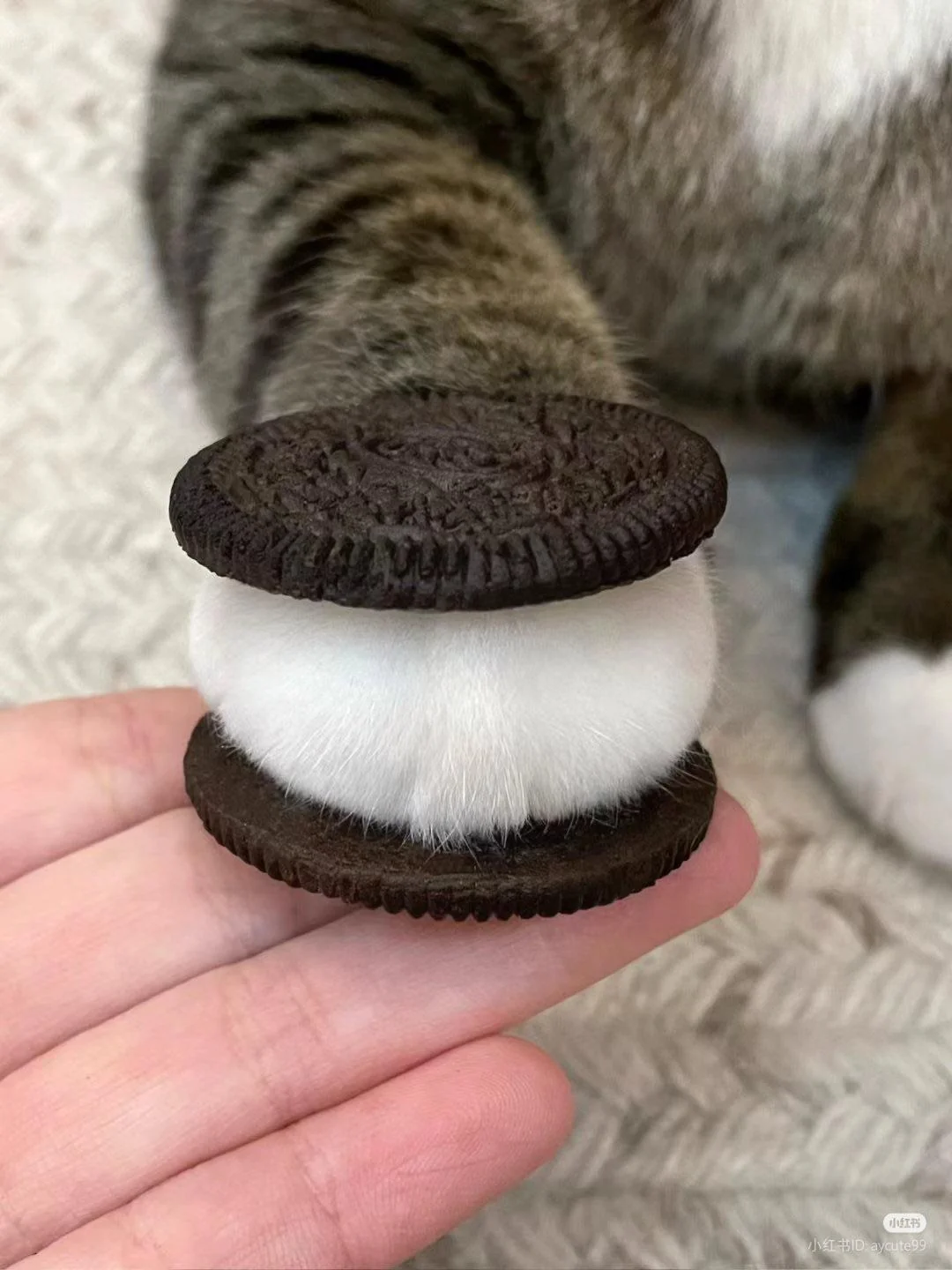 Oreo Delight with Double the Fluff