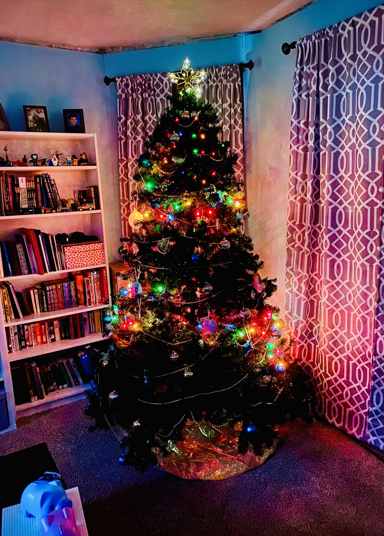 The Christmas tree is officially up and ready to shine!