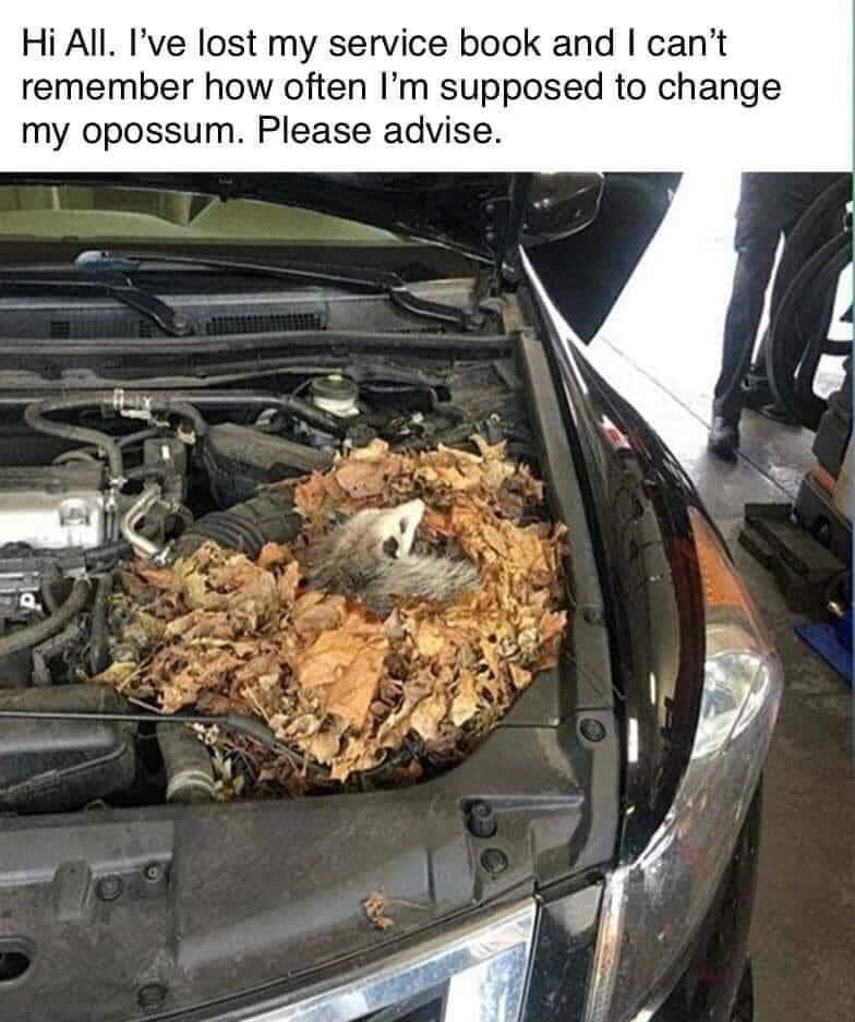 In need of some assistance