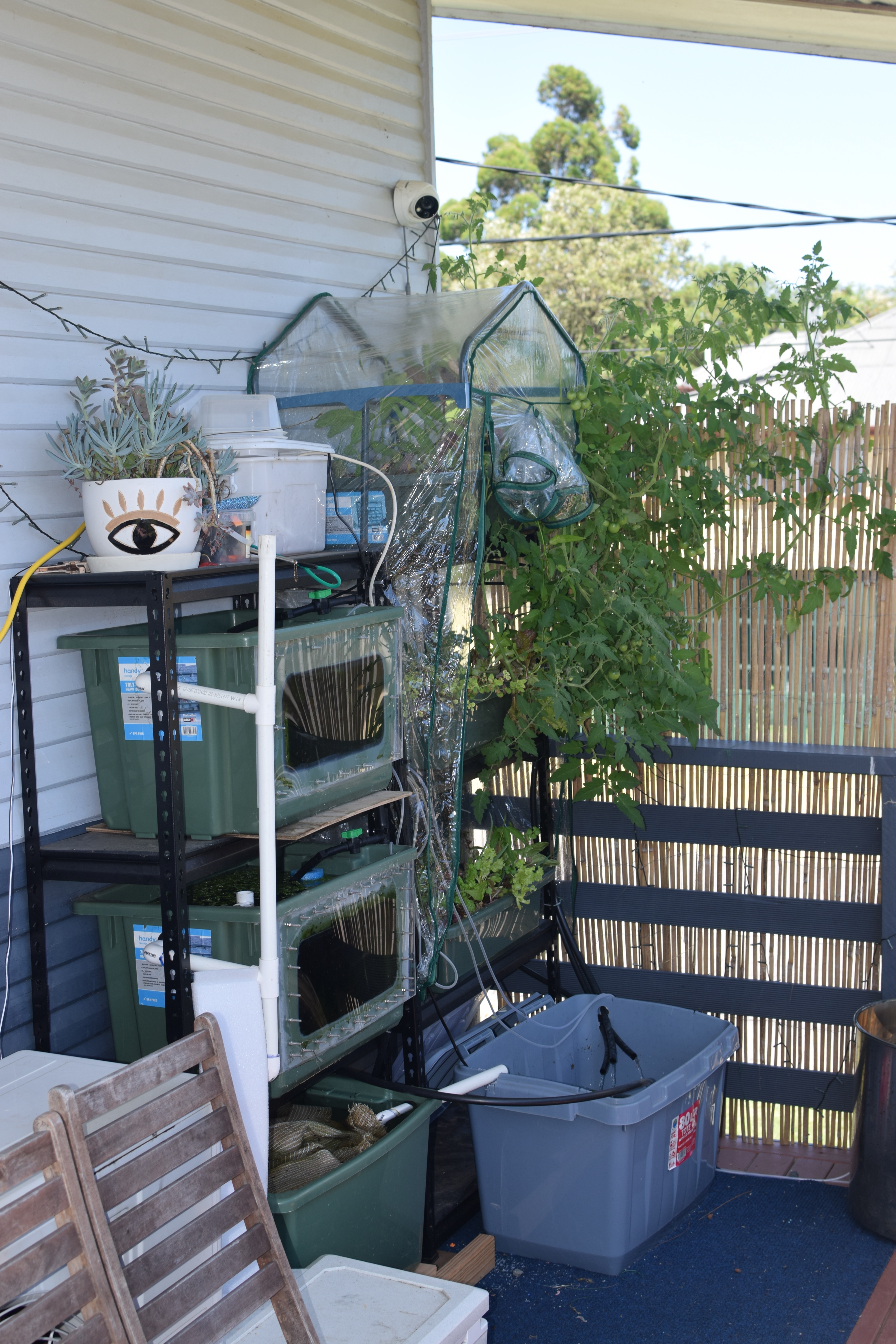 Discover the Joy of Aquaponics: It's a Blast!