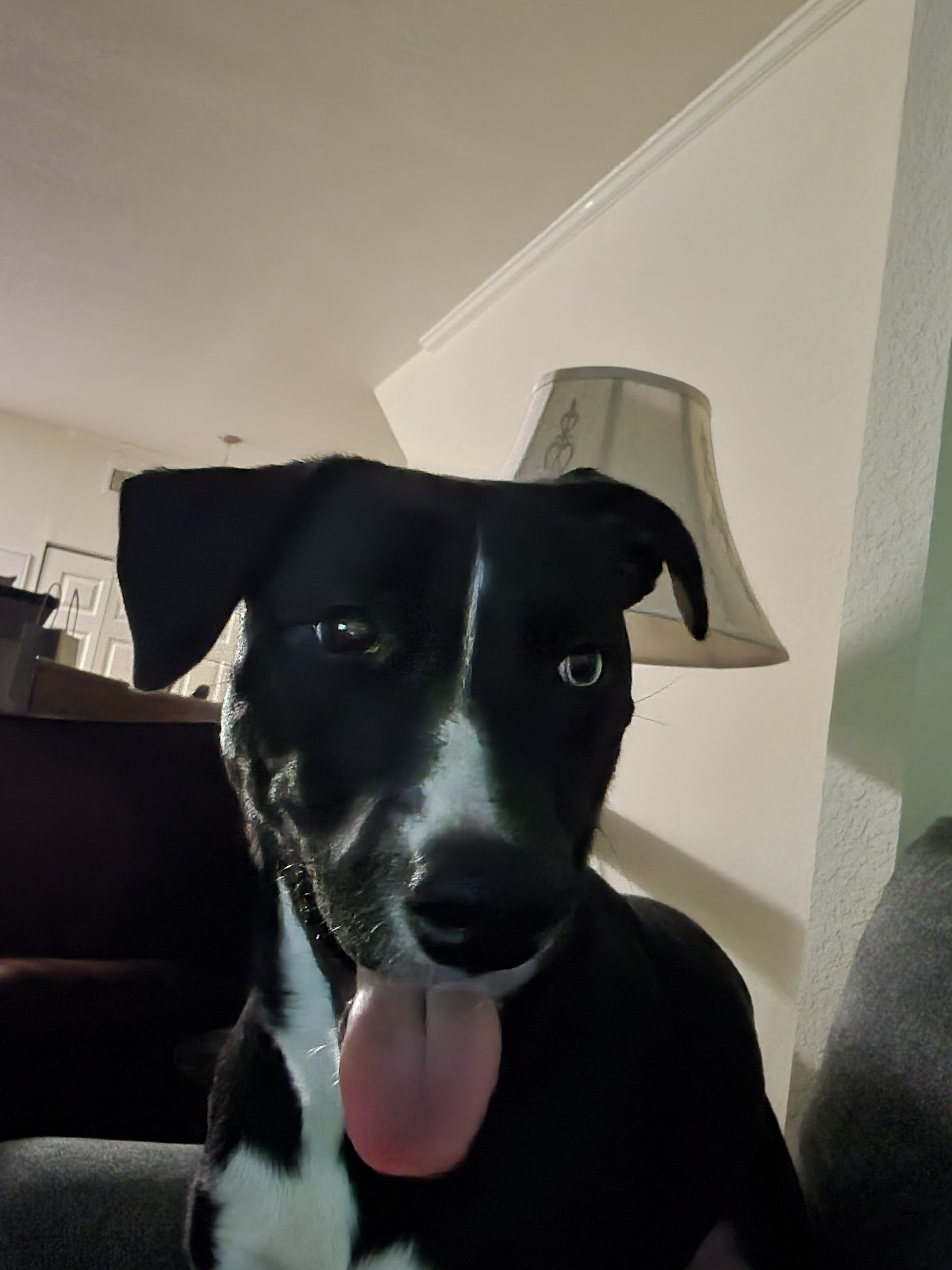 Feeling Overwhelmed and Could Use a Little Help