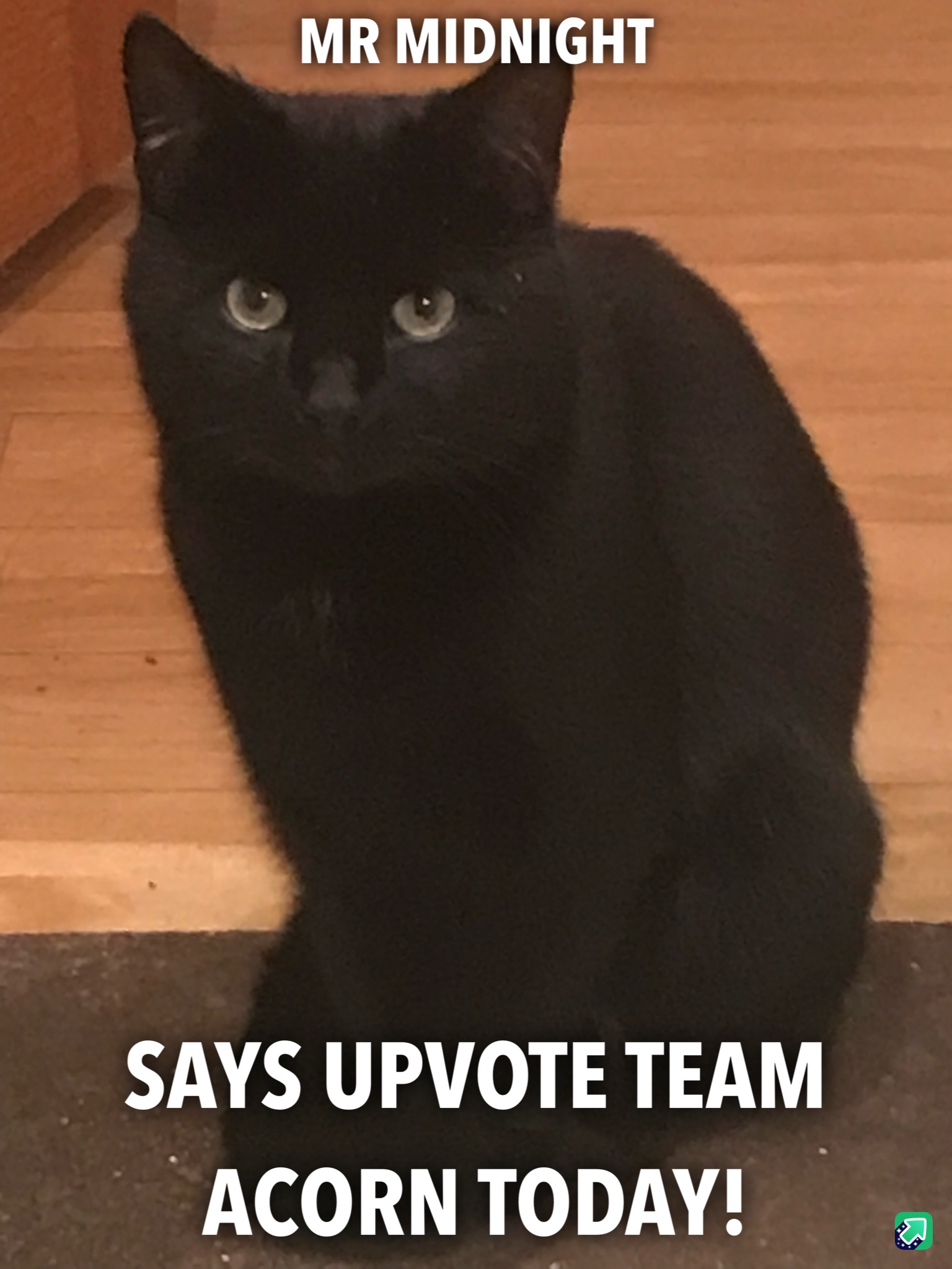 The Mysterious Mr. Midnight