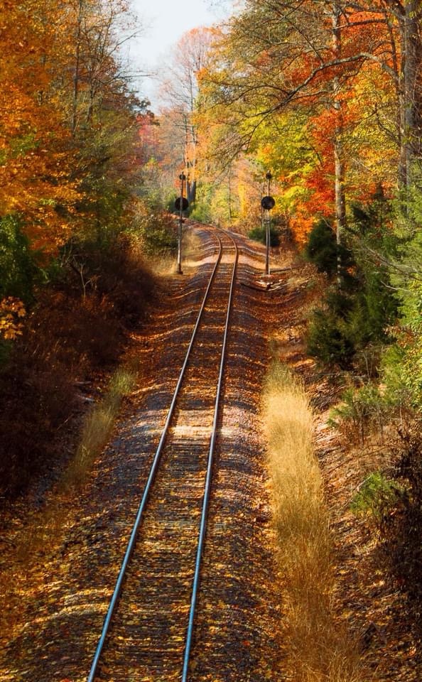 Journey Through the Railroad