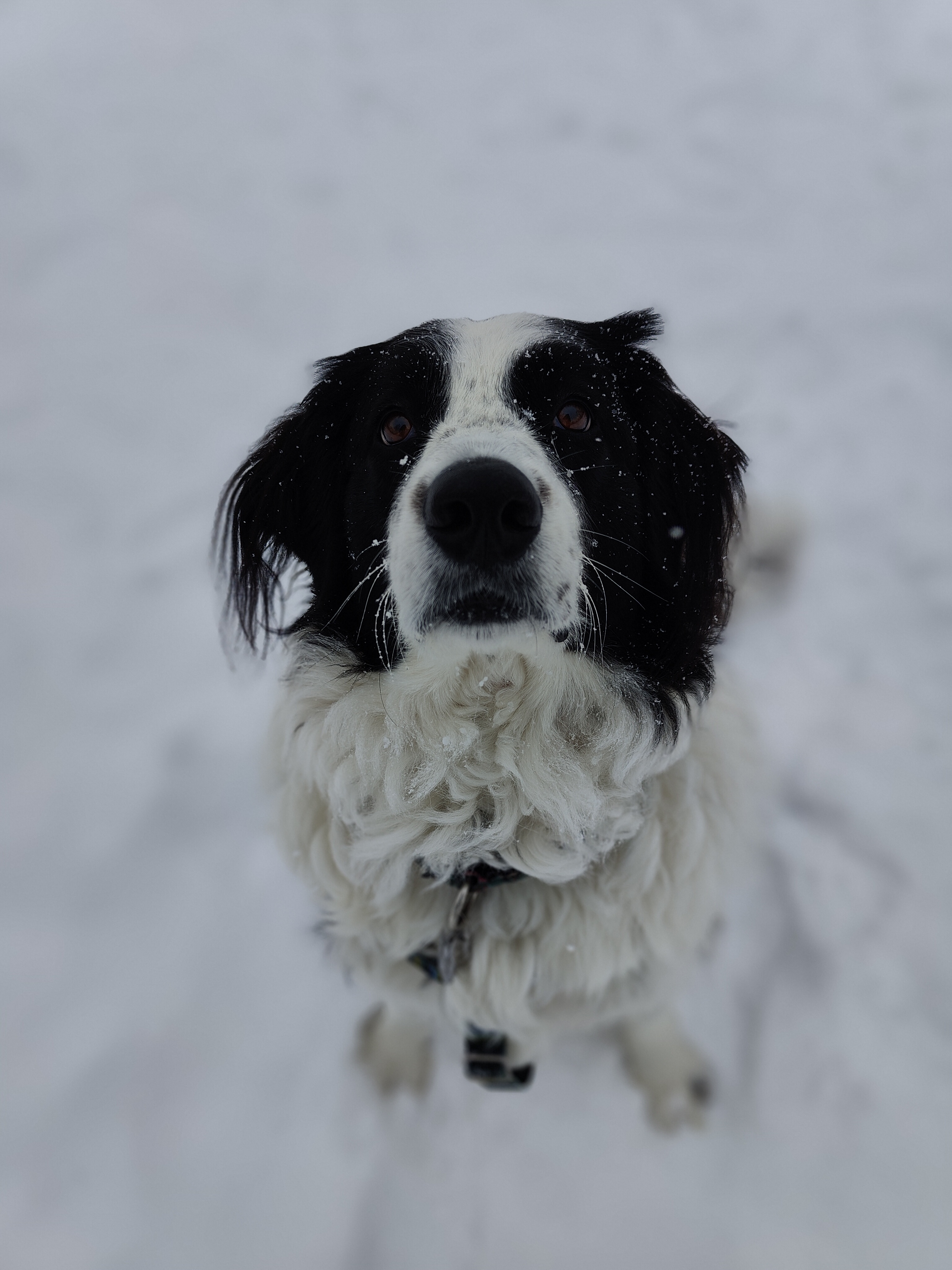 Mia's Snow Day: A winter wonderland!