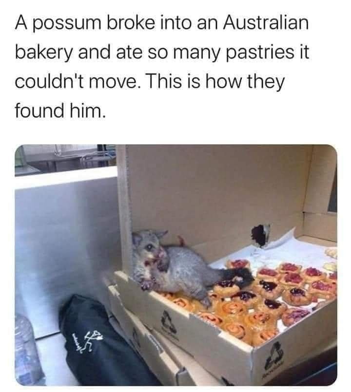 The Struggles of a Hangover