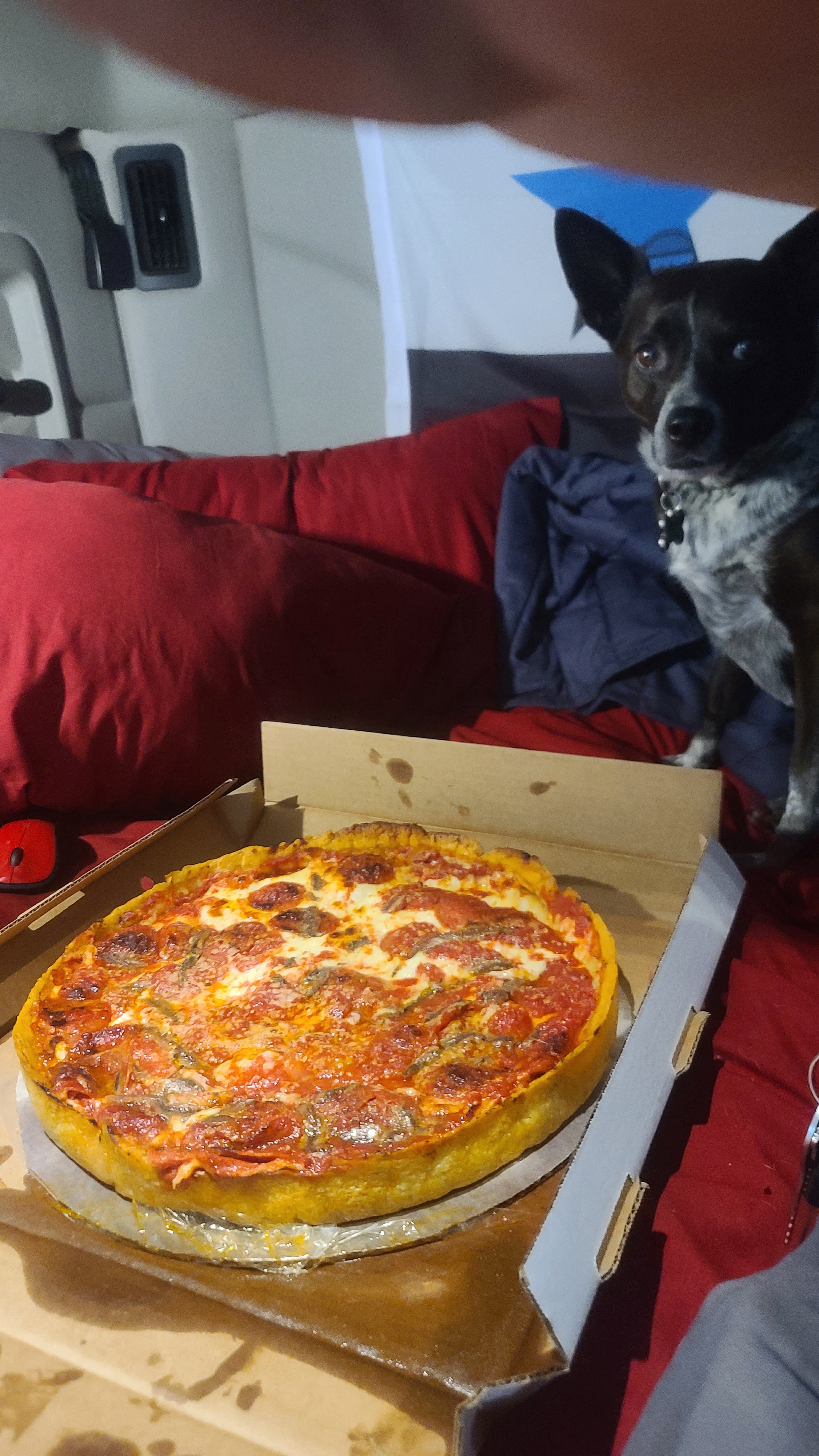 "I have a serious love for pizza..."