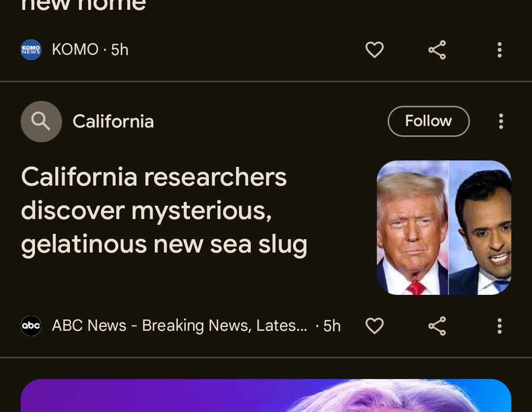 A Heartfelt Thanks to My News Feed