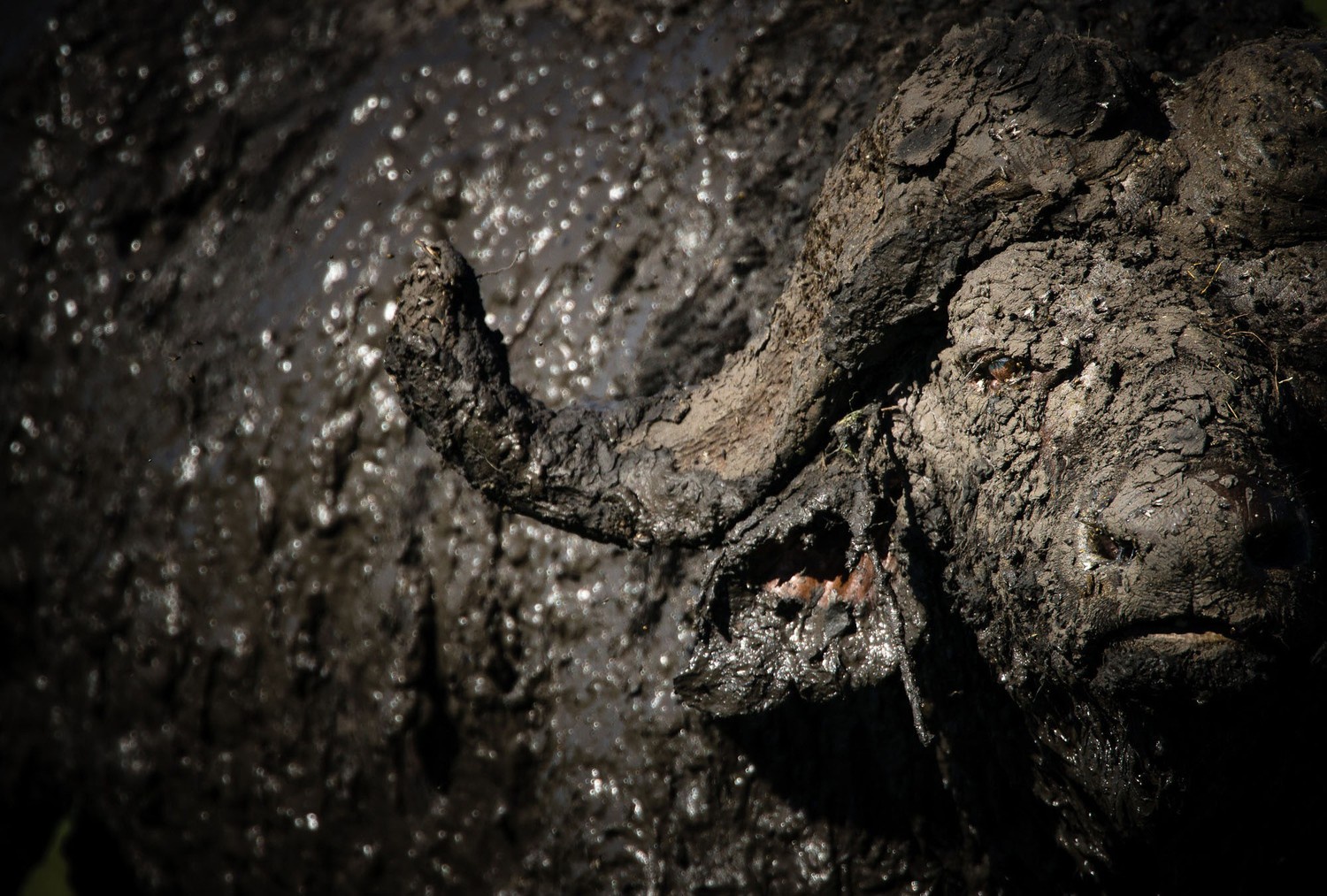 An Intimate Encounter: Face to Face
