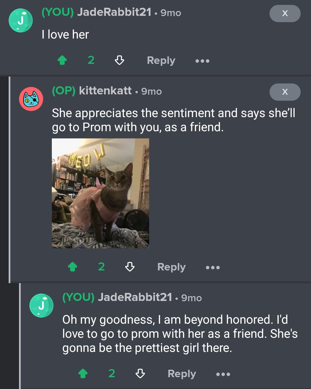 A Memorable Interaction on Imgur