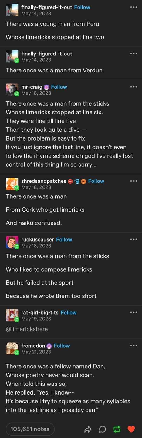 A whimsical journey through limericks
