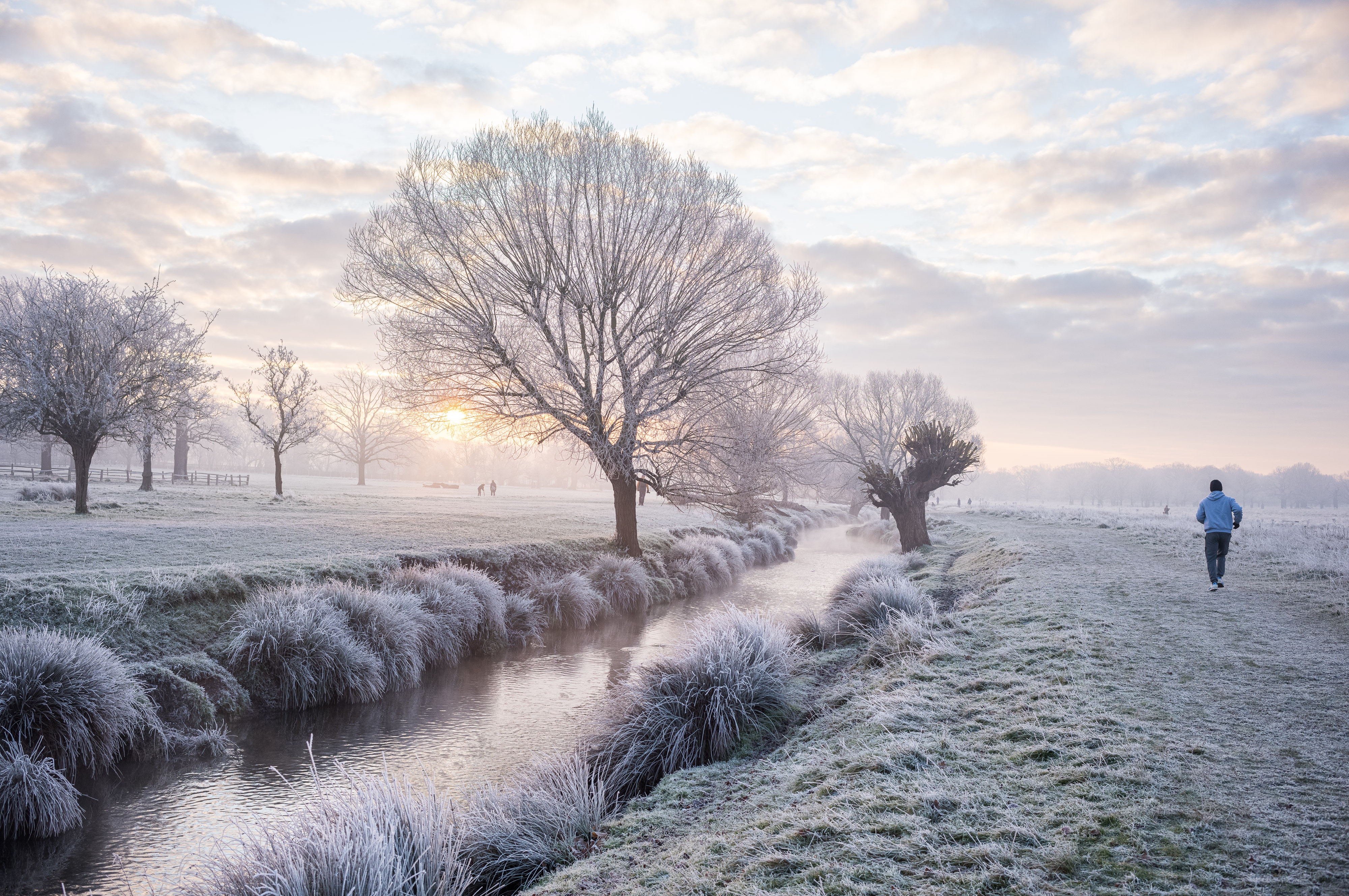 A Jogger's Peaceful Run Along a Frosty Path in Richmond Park, London