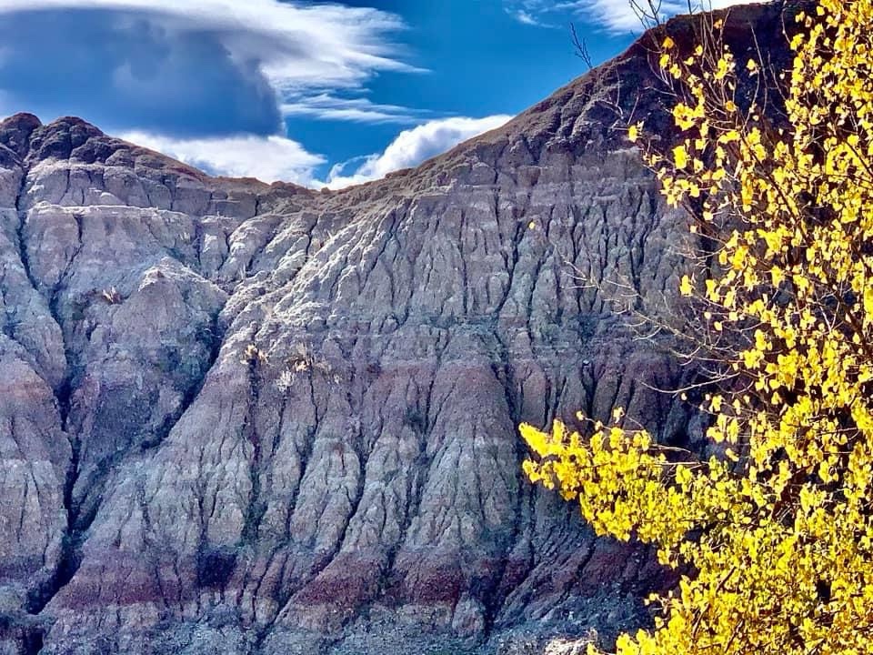 Exploring the Majestic Canyon Landscape