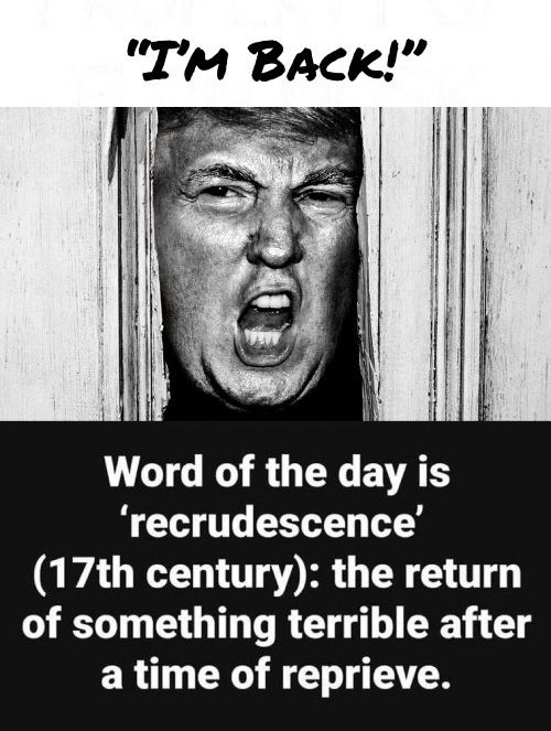 Word of the day: Let’s dive in!
